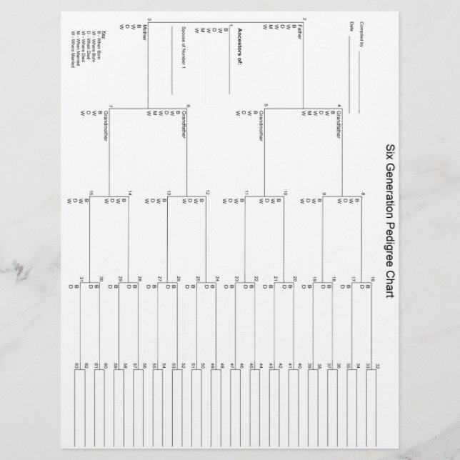 Pedigree Paper der sechsten Generation (Vorderseite)