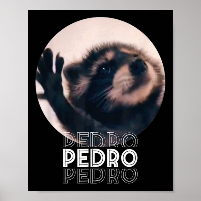 Pedro Racoon Dance Populäre Internet Meme Mapache  Poster (Vorne)
