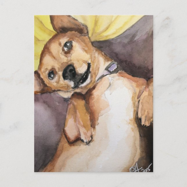 Pedro the Chiweenie Postkarte (Vorderseite)