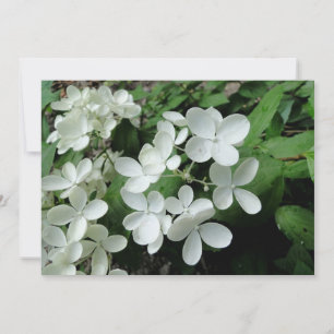 Pee Gee Hydrangea Blume Mit Monogramm Blank Note Karte