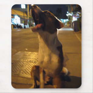 Pee Mai ... Soi Dog, Thailand Mousepad