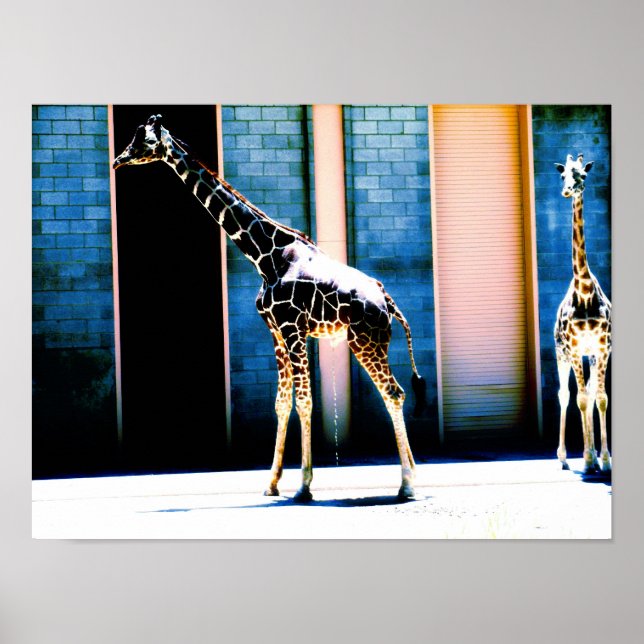 Peeing Giraffe Poster (Vorne)