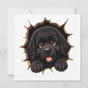 Peek A Boo Newfie-Welpe