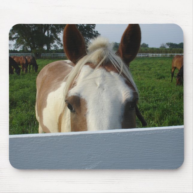 Peek a Boo Pferd Mousepad (Vorne)