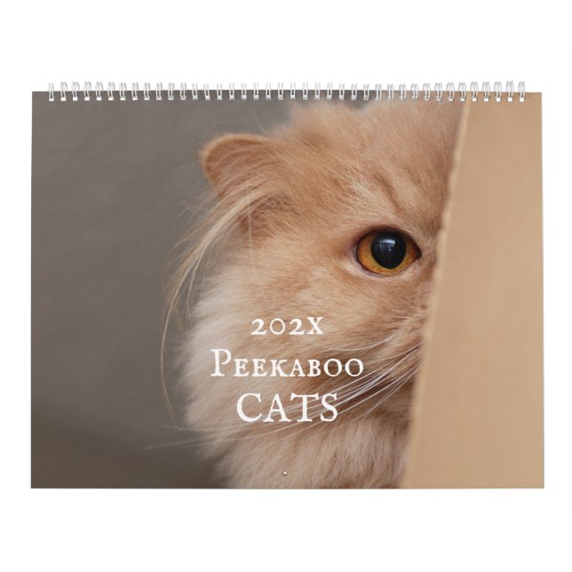 Peekaboo Cat Calendar Kalender (Titelbild)