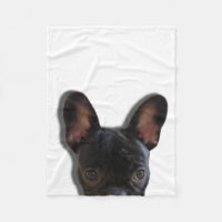 Peekaboo-französische Bulldogge