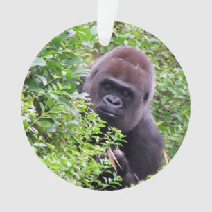 Peekaboo-Gorilla-Verzierung Ornament
