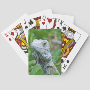 Peekaboo-Leguan Spielkarten