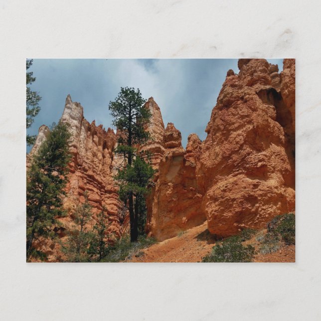 Peekaboo Loop bis Bryce Point Bryce Canyon Nationa Postkarte (Vorderseite)