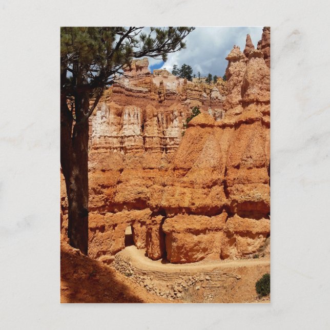 Peekaboo Loop bis Bryce Point Bryce Canyon Nationa Postkarte (Vorderseite)