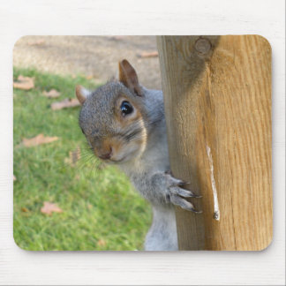 Peekaboo! Mousepad