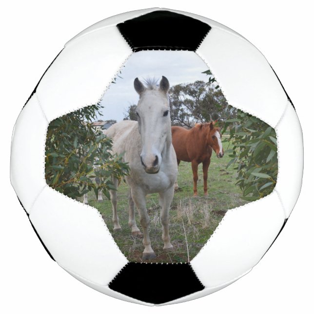 Peekaboo Pferde, Soccerball Fußball (Vorderseite)