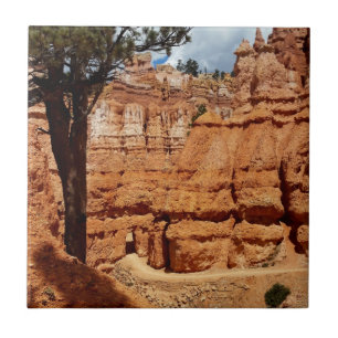 Peekaboo Schleife Bryce Canyon Nationalpark Utah Fliese