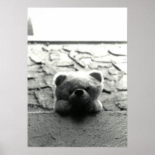 Peekaboo-Teddybär Poster