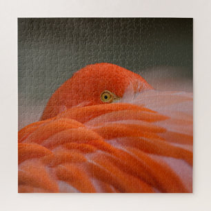 Peeking Flamingo Puzzle