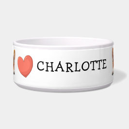 Peeking Gold Corgi Customize Theme Napf