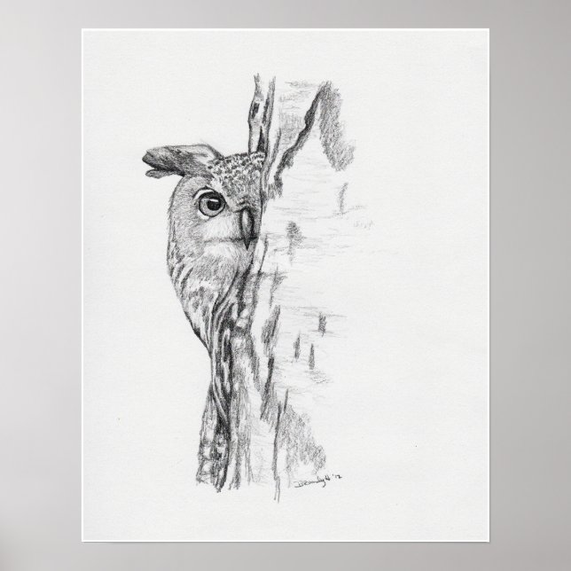 Peeking Owl" Poster (Vorne)