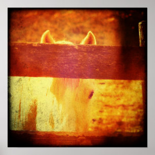 Peeking Pferd Poster