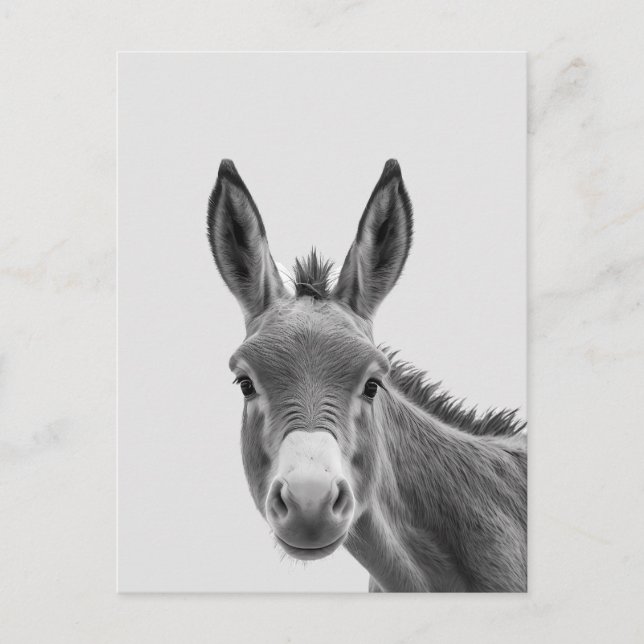 Peeking Sneaky Donkey Niedlich Postkarte (Vorderseite)