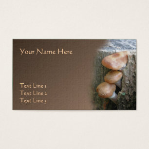 Peeking Wild Brown Pilze Nature