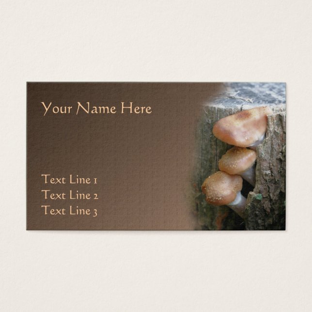 Peeking Wild Brown Pilze Nature (Vorderseite)