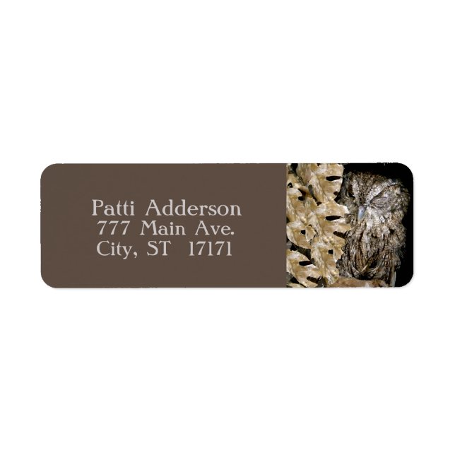 Peeking Winking Owl (Vorne)