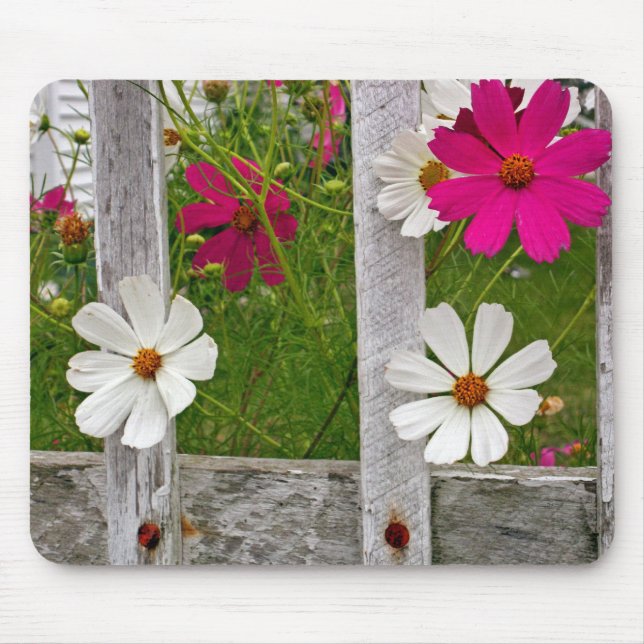 Peekout Mousepad (Vorne)