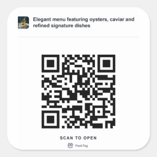PeekTag QR Aufkleber Vorlage