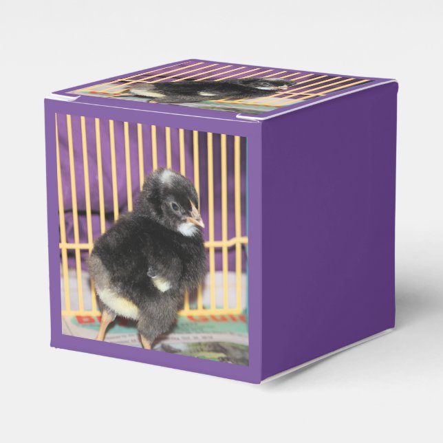 Peep Geschenkschachtel (Vorderseite)