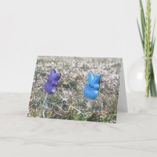 PEEP IN DER GRASS Grußkarte Dankeskarte