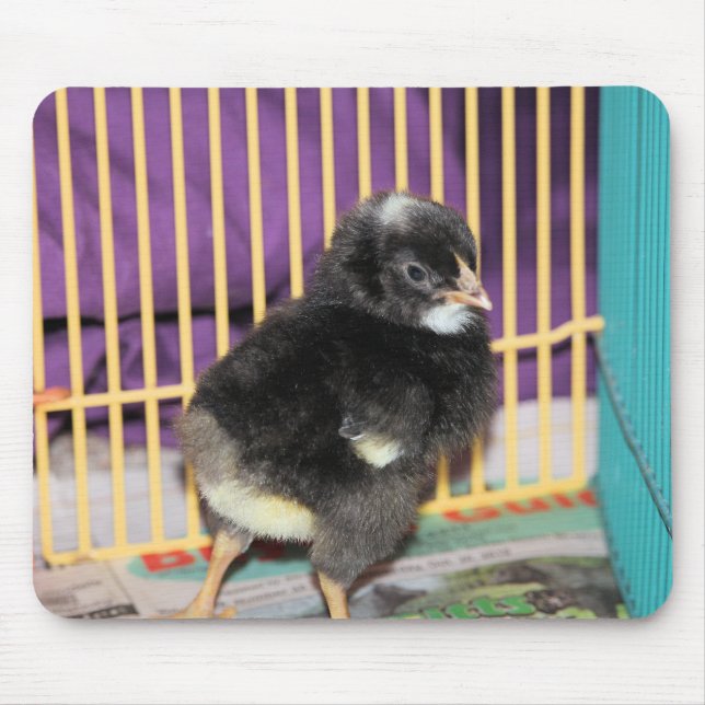 Peep Mousepad (Vorne)