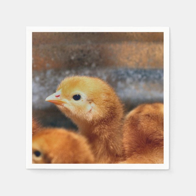 Peep Peep Serviette (Vorderseite)