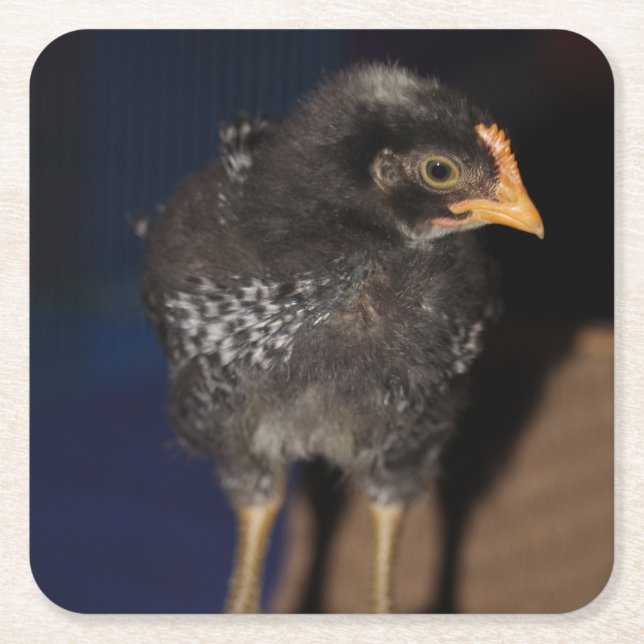 Peep Rechteckiger Pappuntersetzer (Vorderseite)