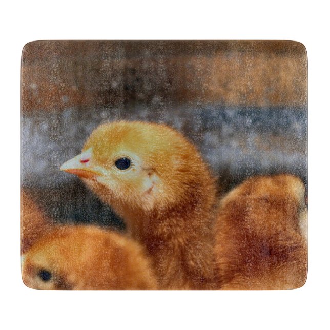 Peep Schneidebrett (Vorderseite)