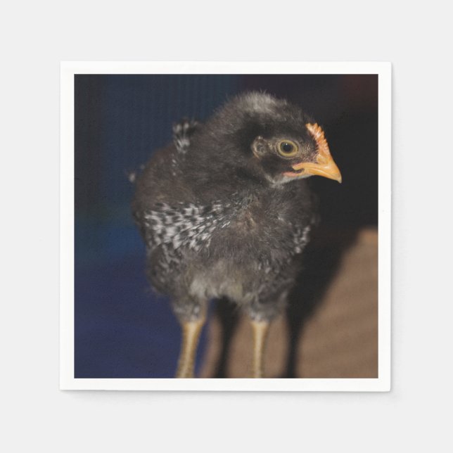 Peep Serviette (Vorderseite)