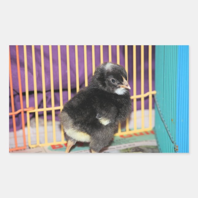 Peep Square Sticker (Vorderseite)