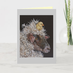 Peep Taxitkarte Karte