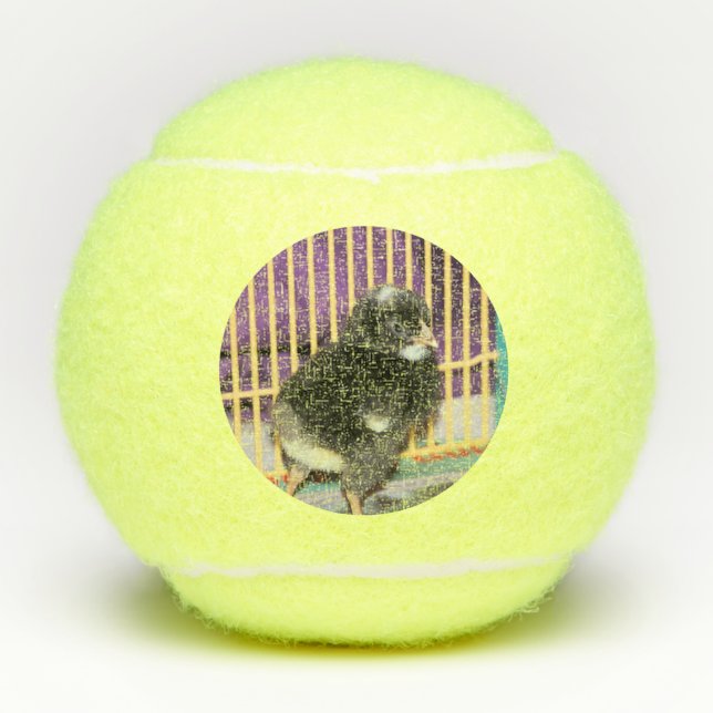 Peep Tennisbälle (Vorderseite)