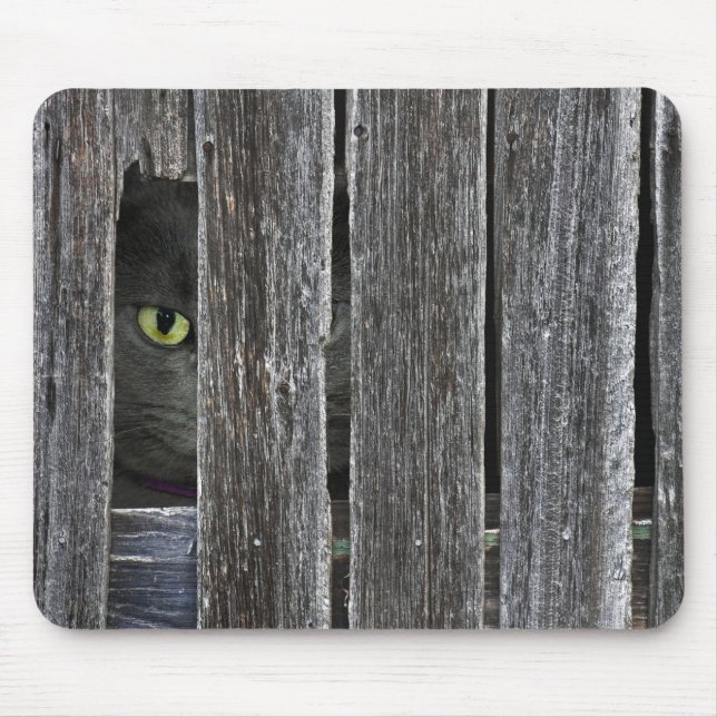 Peepin Tom Mousepad (Vorne)