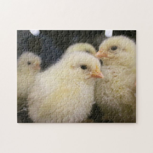 Peeps Puzzle (Horizontal)
