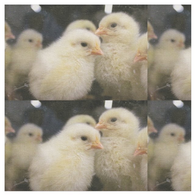 Peeps Stoff (Nahaufnahme)