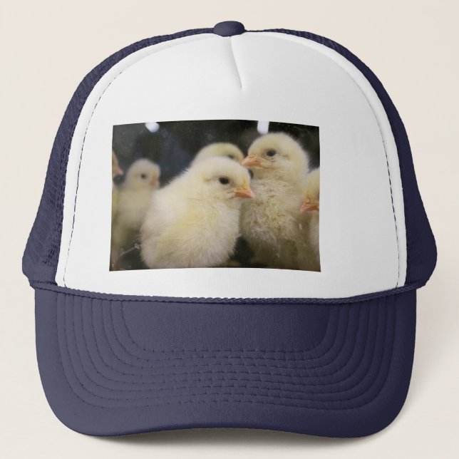 Peeps Truckerkappe (Vorderseite)