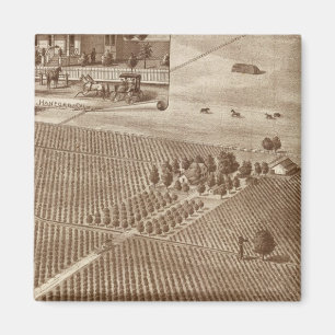 Peerless Vineyard, Hanford, Cal Magnet