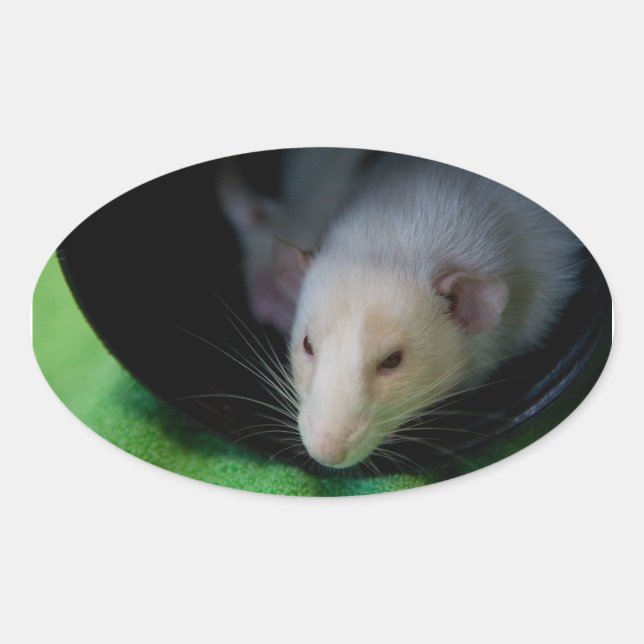 PEEWEE OVAL STICKER (Vorderseite)