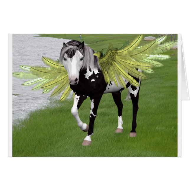 Pegasus Dreams (Vorderseite (Horizontal))