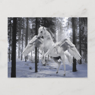 Pegasus Flügeldrachenschnee Postkarte