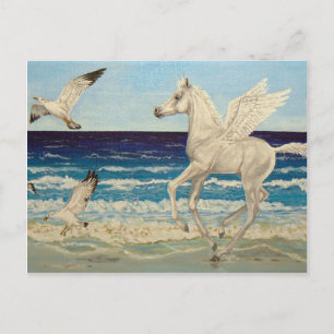 Pegasus Horse & Sea Gulls - Postkarte