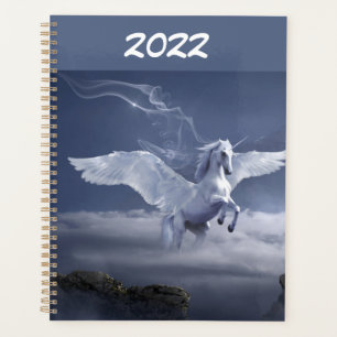 Pegasus im Flug Planer