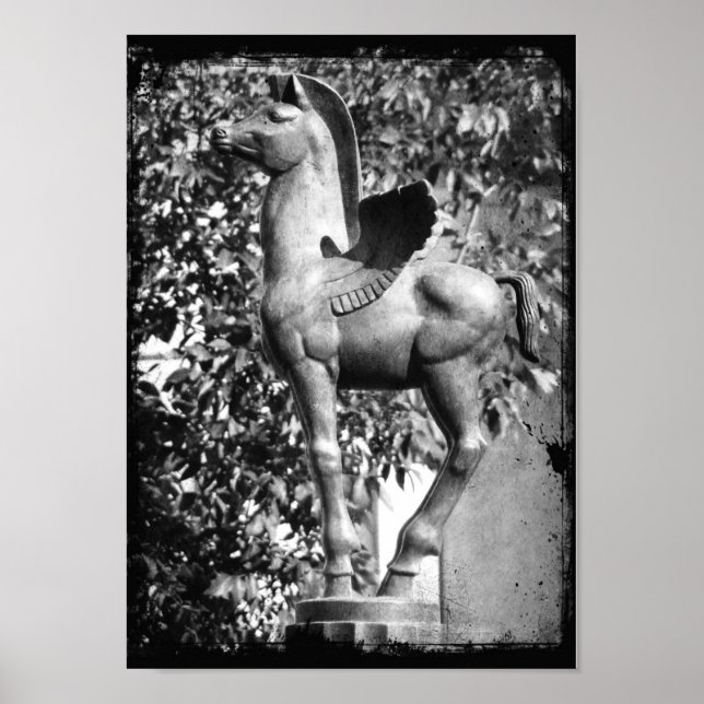 Pegasus in Schwarz-Weiß-Grunge Poster (Vorne)
