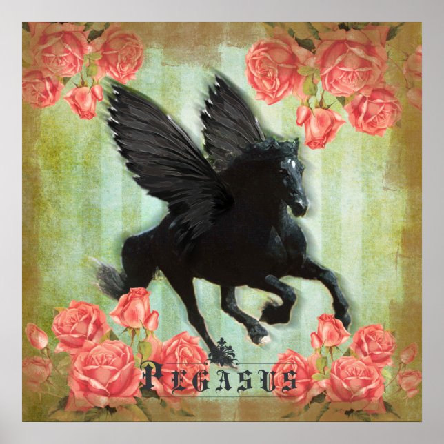Pegasus - Plakat (Vorne)